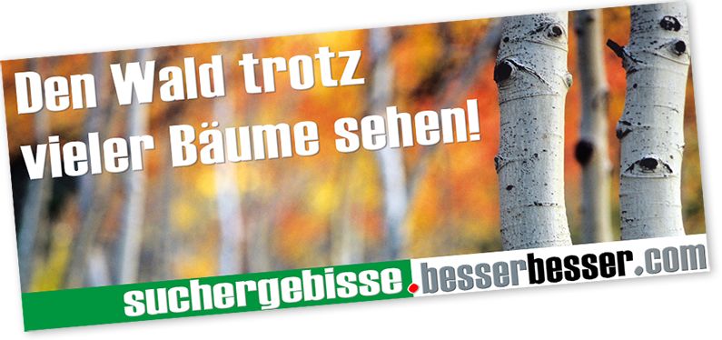 organic search und KI-Ergebnisse optimieren
